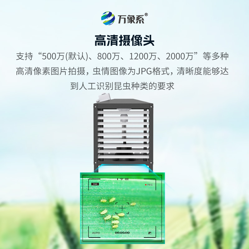 小蟲體自動測報(bào)系統(tǒng)